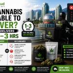 AR Cannabis Not Able to Deliver? Easy Bud Delivers with 1-3 HRS