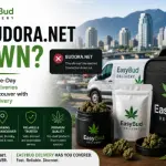 Is Budora.net Down? Reliable Same-Day Cannabis Deliveries in Metro Vancouver with EasyBud Delivery
