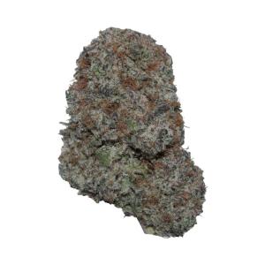 Purple Panty Dropper