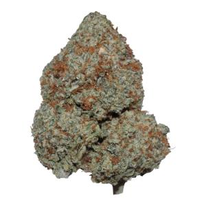 Orange Glue