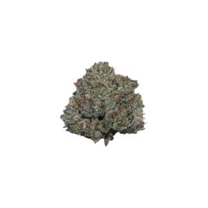 Greasy Pink Bubba