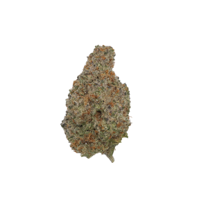 King Tut