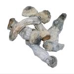 Ape