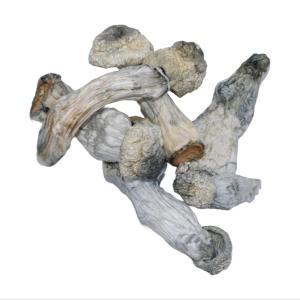 Ape