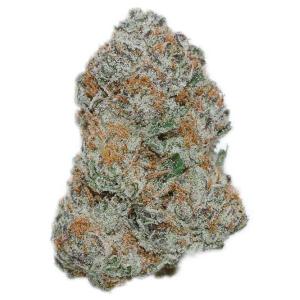 Stripper Spit