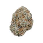 Northern Lights