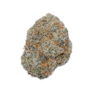 Northern Lights