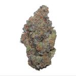 Apple Fritter