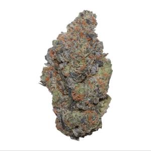 Apple Fritter