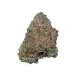 Champagne Mimosa