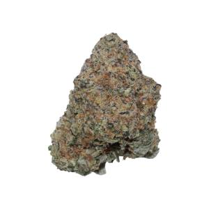 Champagne Mimosa