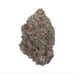 King Kong Glue