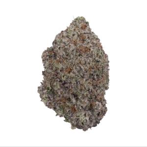 King Kong Glue