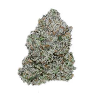 King Louie XIII