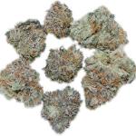 Mystery Bud