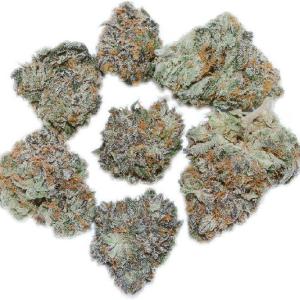 Mystery Bud