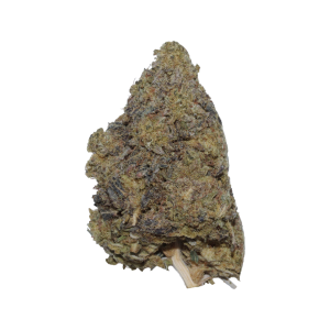 Blue Zushi *LOW GRADE*