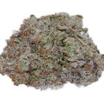 Starbud