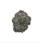 White Rhino