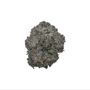 White Rhino